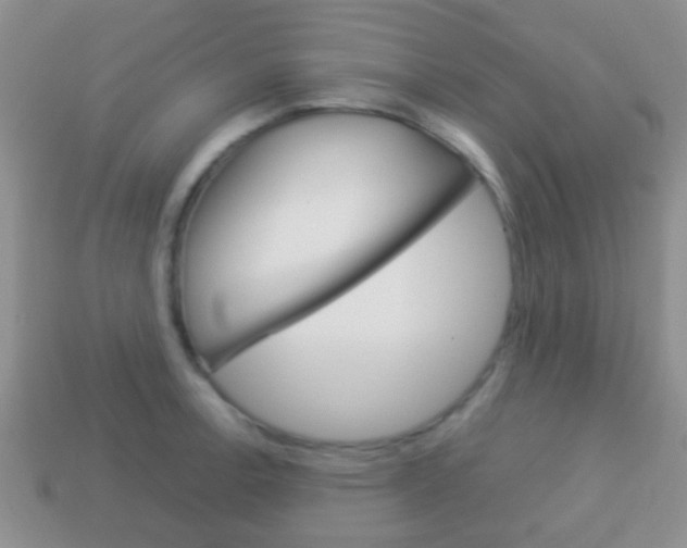 X0000114231138200910091322