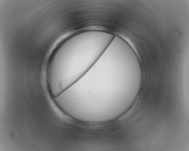 X0000114231139200910091322