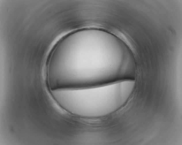 X0000114231140200910091322