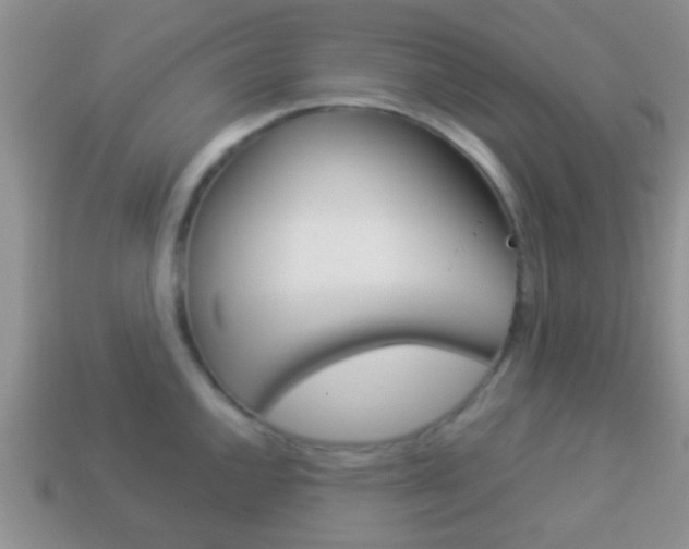 X0000114231144200910091322