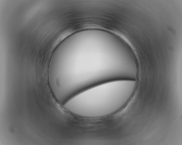 X0000114231145200910091322