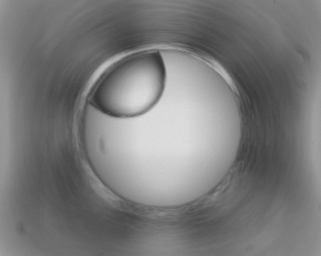 X0000114231148200910091322