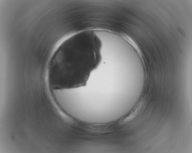 X0000114231149200910091322
