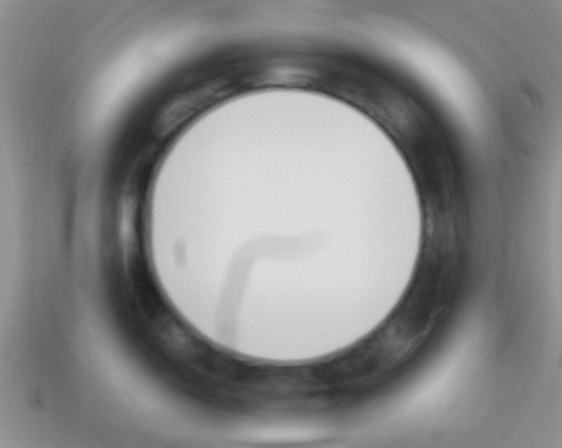 X0000114231150200910091323