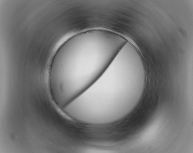 X0000114231151200910091323