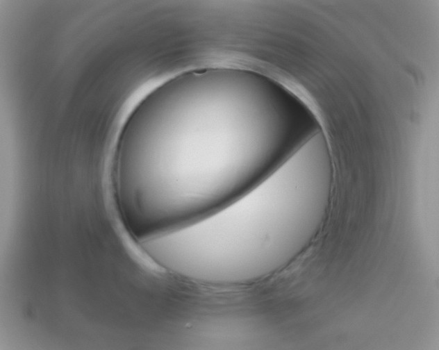 X0000114231152200910091323