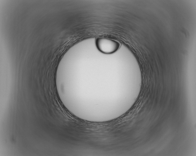 X0000114231153200910091322