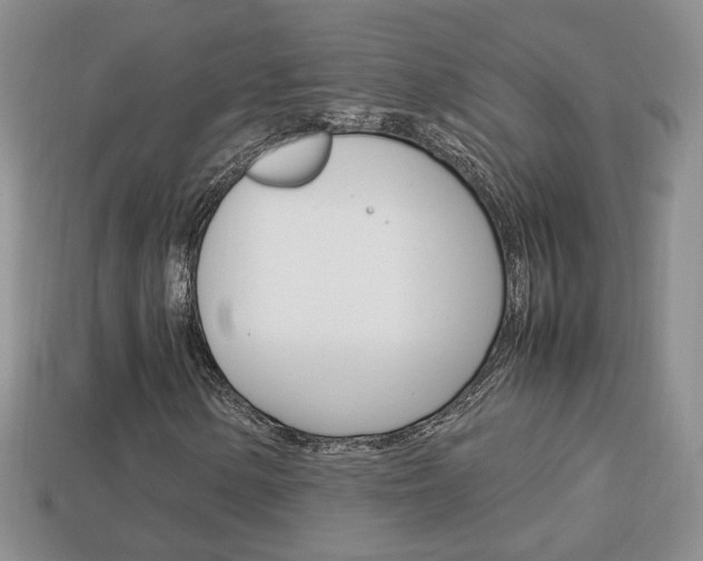 X0000114231154200910091322