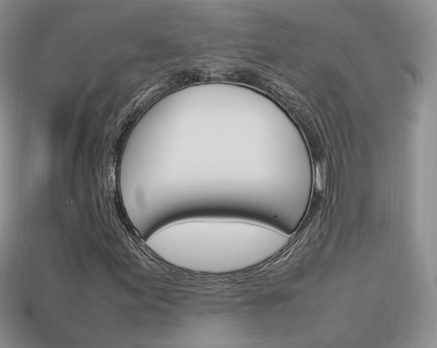 X0000114231155200910091322
