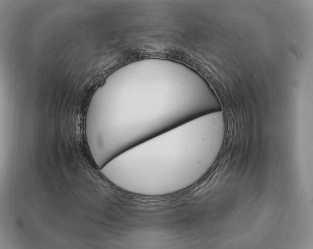 X0000114231156200910091322