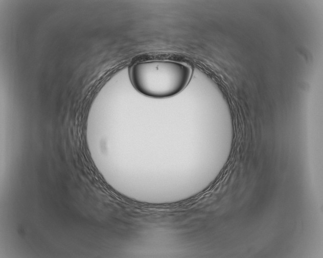 X0000114231157200910091322