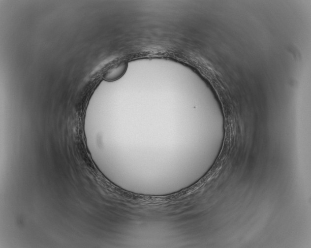 X0000114231158200910091322
