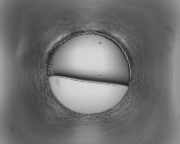 X0000114231159200910091322