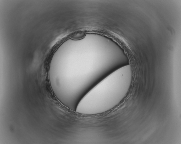 X0000114231160200910091322