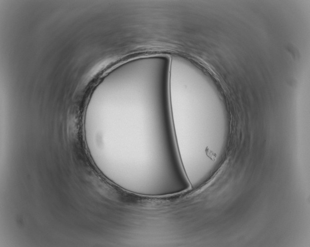 X0000114231163200910091322