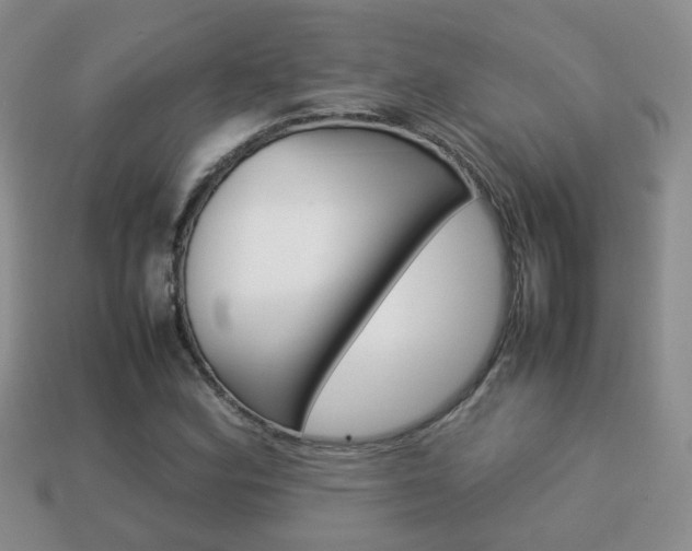 X0000114231164200910091322