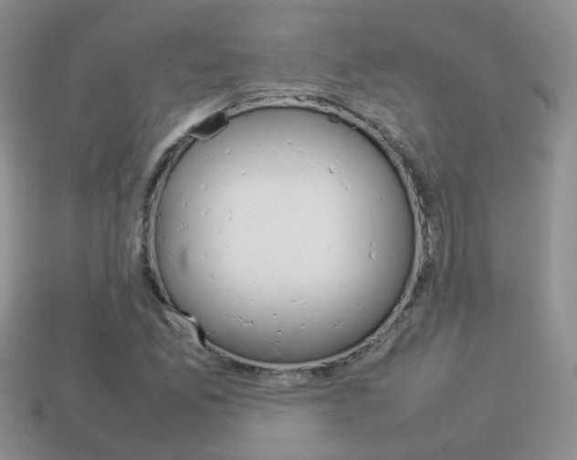 X0000114231165200910091322