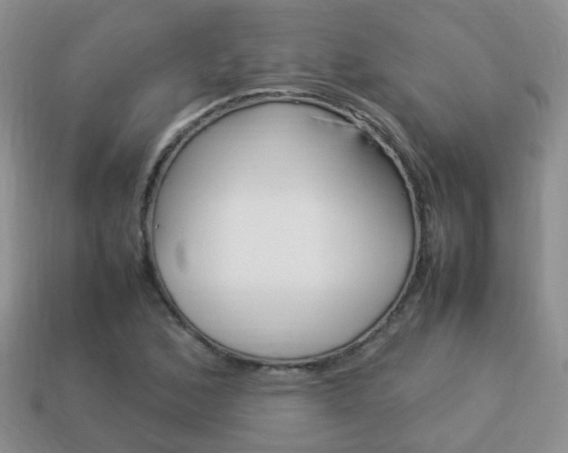 X0000114231168200910091322