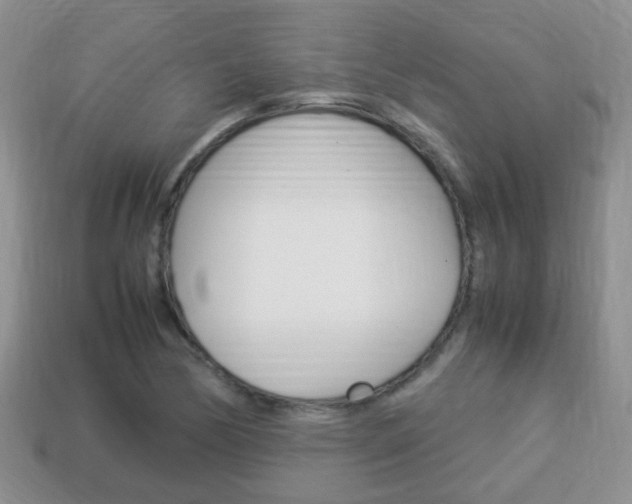 X0000114231170200910091322