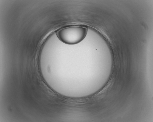 X0000114231173200910091322
