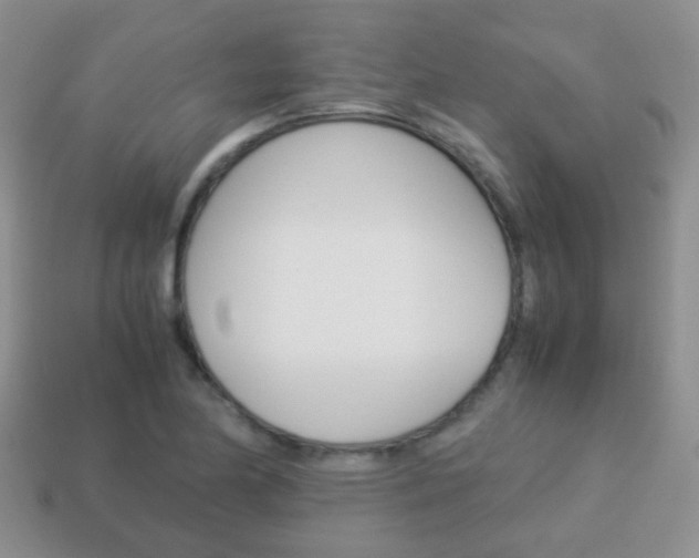 X0000114231174200910091322