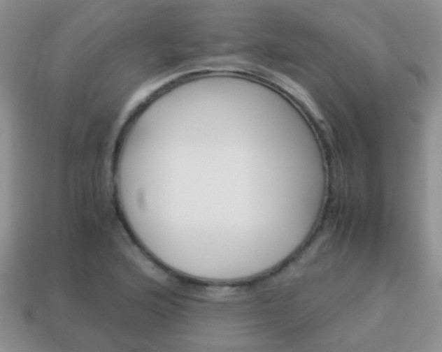 X0000114231176200910091322