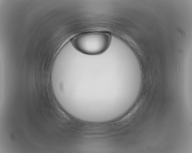 X0000114231177200910091322