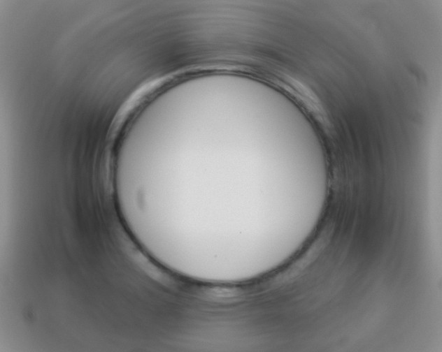 X0000114231180200910091322