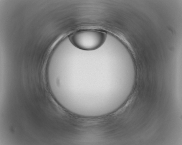 X0000114231181200910091322