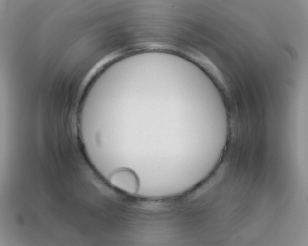 X0000114231182200910091322