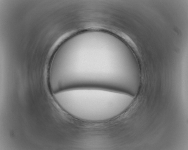X0000114231183200910091322