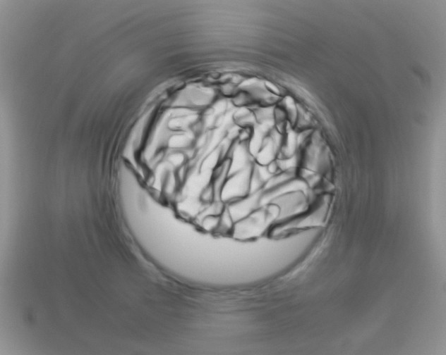 X0000114231185200910091322