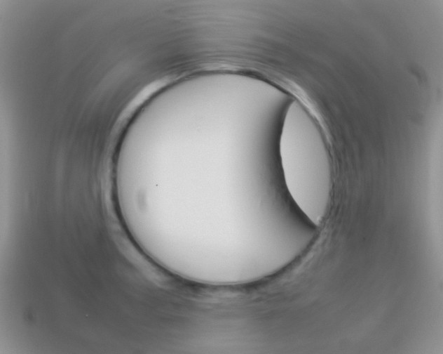 X0000114231187200910091321