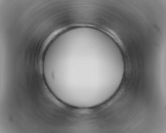 X0000114231188200910091321