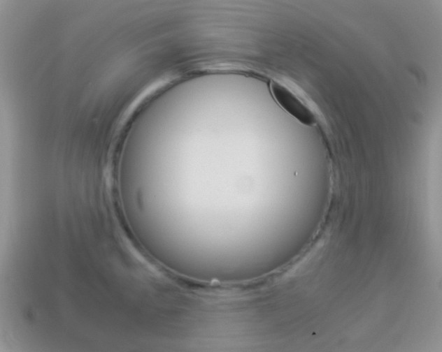 X0000114231189200910091321