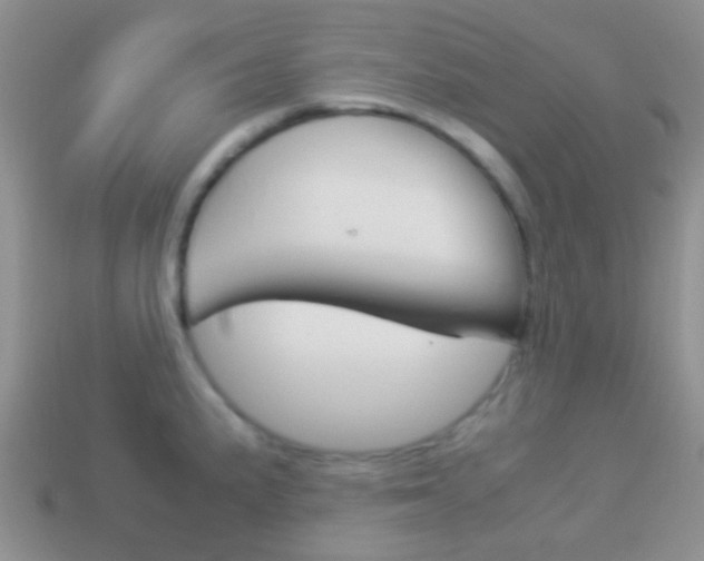 X0000114231191200910091321
