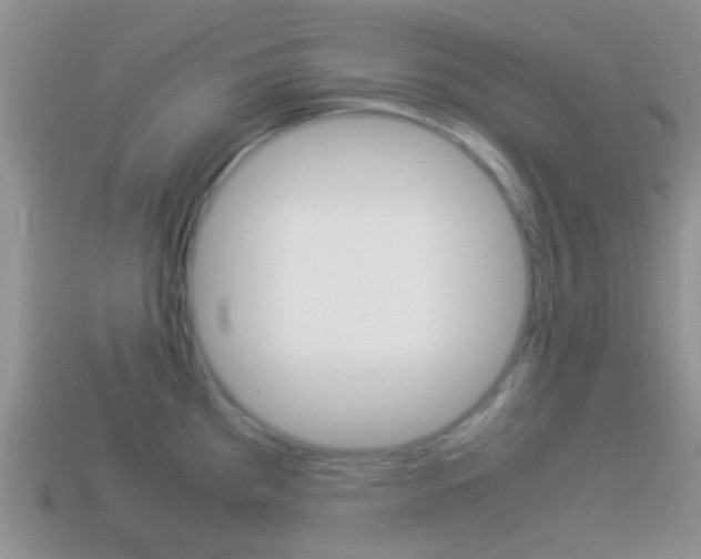 X0000114231193200910091321