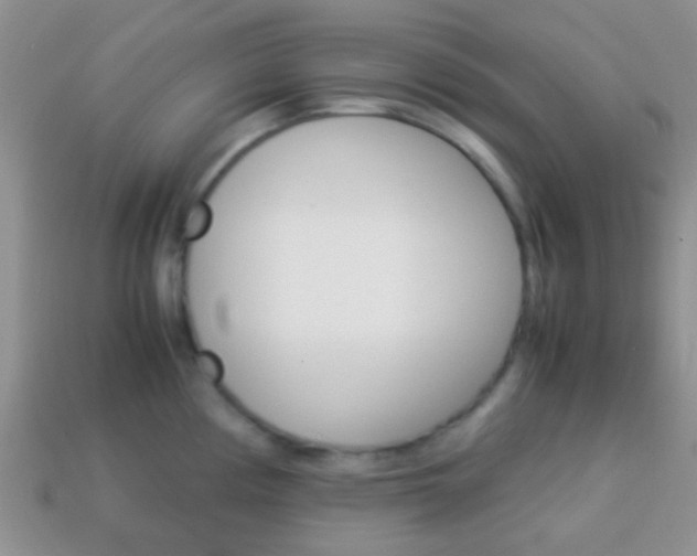 X0000114231194200910091321