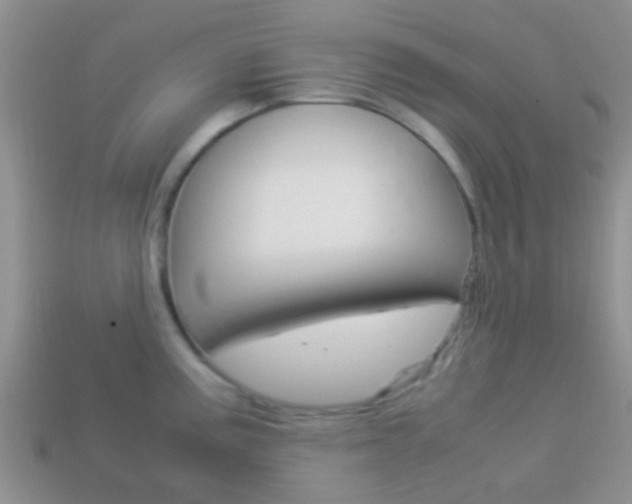 X0000114231195200910091321