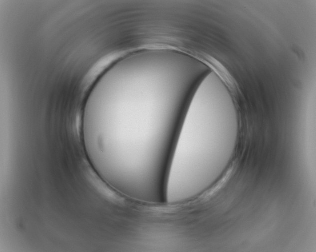 X0000114231196200910091321