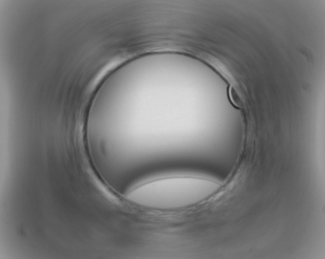X0000114231197200910091321