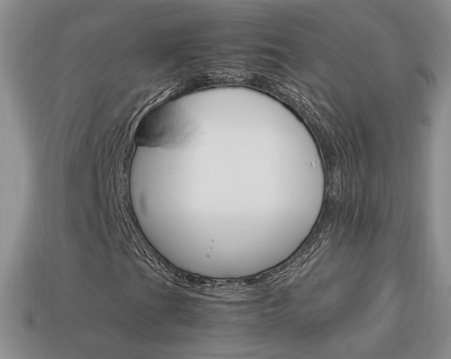 X0000114231201200910091321
