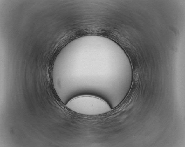 X0000114231202200910091321