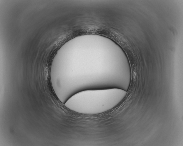 X0000114231204200910091321