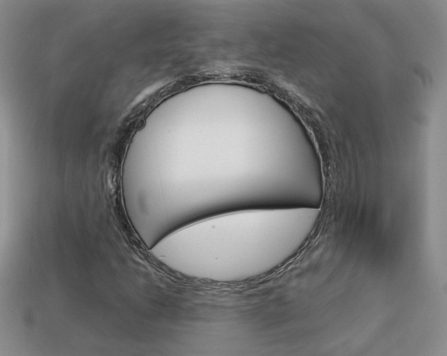 X0000114231206200910091321