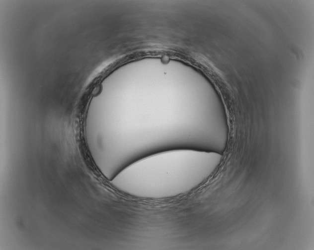 X0000114231208200910091321
