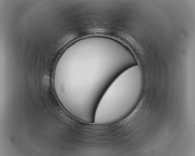 X0000114231209200910091321