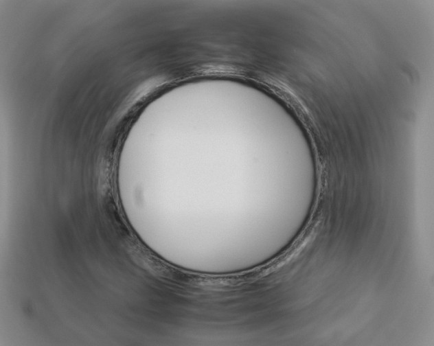 X0000114231211200910091321