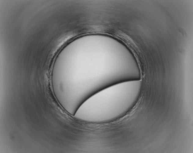 X0000114231212200910091321