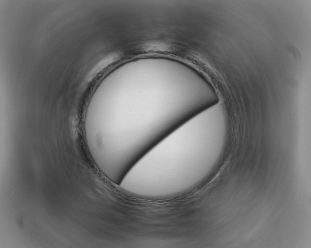 X0000114231213200910091321